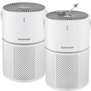 2Pack Air Purifiers for Bedroom 5 Layers H13 HEPA Air Filter with Aroma Air Purifiers for Home Pets,Desktop,Kitchen,Filter 99.99% Smoke,Pollen, Pet Dander,Dust,Ozone...