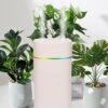 600ml/20 oz Dual Channels Mini USB Powered(No Battery) Humidifier 6~12hr for Bedroom Plants Indoor Room Bedside for Nightstand, Small Portable Personal Desk Humidifiers...