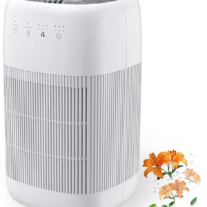 Afloia Air Purifier and Dehumidifier in 1, Air Purifier with Efficient Filter, Small Dehumidifier Combined with Air Cleaner, Remove Pet Odors Dust Smoke for Home, Bedroom, Bathroom