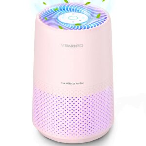 Air Purifiers for Bedroom, H13 HEPA Air Purifiers - 24dB Ultra-Quiet Sleep Mode, 360° Outlet Air Cleaner, 99.97% Particle Capture - Perfect for Home, Smoker, Allergies, VF10...