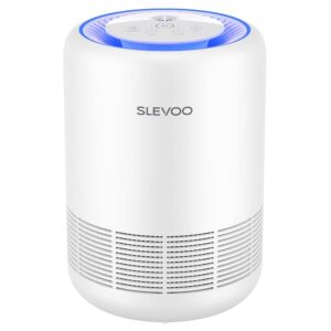 Air Purifiers for Bedroom Pets Smokers in Home, H13 True HEPA Filter Air Cleaner with Fragrance Sponge, Night Light, Timer, Effectively Clean Smoke, Dust, Pollen, Pet Dander,...