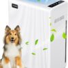 Air Purifiers for Home Large Room up to 1740ft², H13 HEPA Air Filter for Pets Hair Dander Smoke Pollen Dust, Non-Ozone, Portable Air Purifiers for Bedroom Office Living Room,...