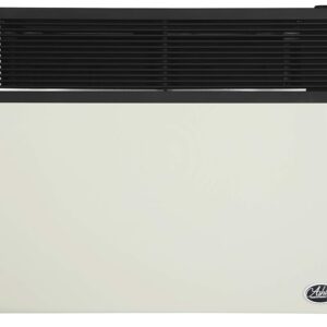 Ashley Hearth Products DVAG30N 25000 BTU Direct Vent Natural Gas Heater, Cream