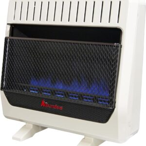 BF30T-BB Ventless Dual Fuel Blue Flame Space Heater with Thermostat Control for Home and Office Use, 30000 BTU, Heats Up to 1400 Sq. Ft., Includes Wall Mount, Base Feet, and...