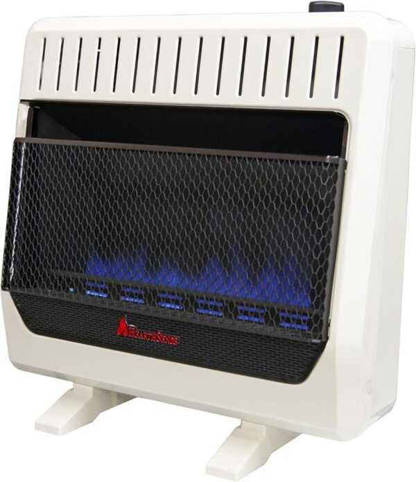 BF30T-BB Ventless Dual Fuel Blue Flame Space Heater with Thermostat Control for Home and Office Use, 30000 BTU, Heats Up to 1400 Sq. Ft., Includes Wall Mount, Base Feet, and...