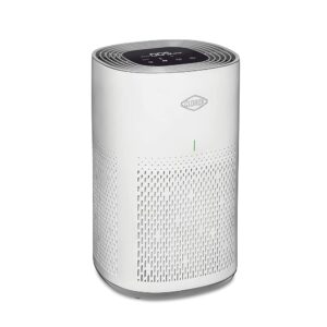 Clorox Air Purifiers for Home, True HEPA Filter, Medium Rooms Up to 1,000 Sq Ft, Removes 99.9% of Mold, Viruses, Wildfire Smoke, Allergens, Pet Allergies, Dust, AUTO Mode,...