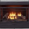 Duluth Forge Ventless 26,000 BTU Heats 1,350 Square Feet Dual Fuel No-Clearance Gas Fireplace Insert with Remote Control, Black