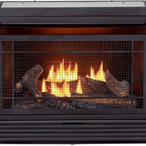Duluth Forge Ventless 26,000 BTU Heats 1,350 Square Feet Dual Fuel No-Clearance Gas Fireplace Insert with Remote Control, Black