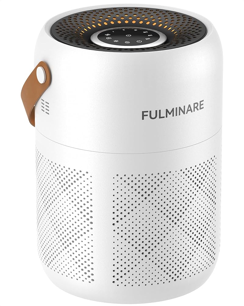 FULMINARE Air Purifiers for Bedroom, H13 True HEPA Air Purifiers for Home, Pets, Office, Quiet Small Air Filters with Timer Sleep Mode Speeds Control Night Light FULMINARE Air Purifiers for Bedroom, H13 True HEPA Air Purifiers for Home, Pets, Office, Quiet Small Air Filters with Timer Sleep Mode Speeds Control Night Light