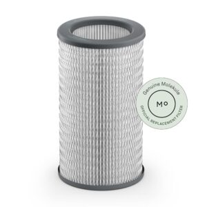 Molekule Air PECO-Filter | Air Purifier Filter Replacement to Remove Dust, Mold, Pollen, Viruses, Allergens & Other Pollutants for Clean Air - White