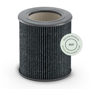 Molekule PECO-HEPA Tri-Power Filter Air Mini and Air Mini+ | Air Purifier Replacement Filters for Allergens, Smoke, Mold, Bacteria, Viruses & Other Pollutants for Clean Air - Gray
