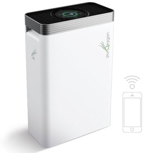 P500i Air Purifiers for Home with H13 HEPA Filter, for Large Rooms up to 2700 sq ft, WiFi Control, Sleep Mode, Child Lock - Pet Dander, Dust, Hair, Smells, Air Cleaner for...