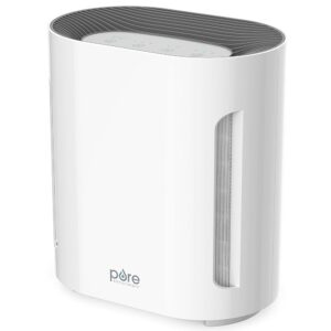 Pure Enrichment PureZone Air Purifier for Bedroom & Living Room, 4-Stage Filtration & UV-C Light, H13 HEPA Filter Helps Remove Bacteria, Pet Hair Dander, Allergens, Germs,...