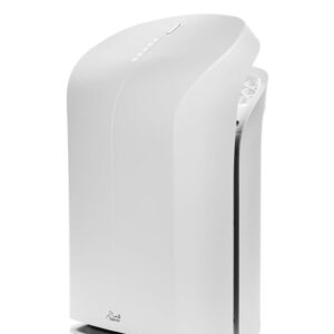 Rabbit Air BioGS 2.0 Ultra Quiet HEPA Air Purifier (SPA-550A White)