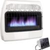 UTY 30,000 BTU Natural Gas / Propane Wall Heater for Indoor Use - Dual Fuel, with Fan Blower, white, 28 x 11 x 24