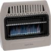 WORLD MKTG OF AMERICA/IMPORT CGS379 Dual Fuel Blue Flame Vent Free Wall Heater, 30,000 BTU, Beige