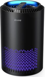 What is the Best Air Purifier for Eliminating Odors?