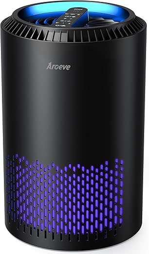 What is the Best Air Purifier for Eliminating Odors?