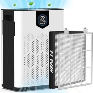 Top 5 Whole House Air Purifiers You Need Now